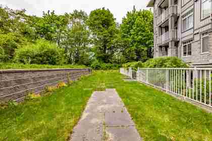 green-space at #210 - 13277 108 Ave, Whalley, North Surrey