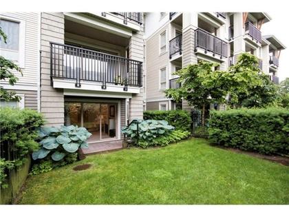 exterior back at #118 - 2088 Beta Ave, Brentwood Park, Burnaby North