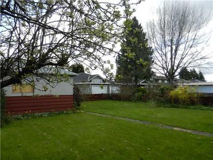 Backyard at 2070 Cliff Ave, Montecito, Burnaby North