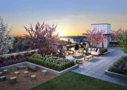 rooftop-garden at #401 - 11718 224th Street, West Central, Maple Ridge