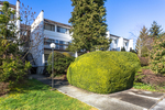 1j6a2029 at #2 - 7353 Montecito Drive, Montecito, Burnaby North