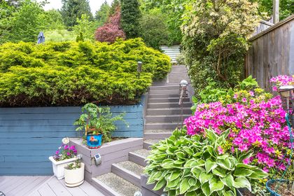 1j6a9029 at 527 San Remo Drive, North Shore Pt Moody, Port Moody