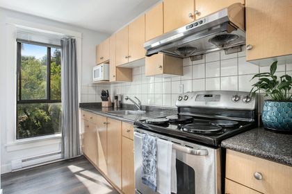 1d4a9340_2 at #302 - 9138 Capella Drive, Simon Fraser Hills, Burnaby North