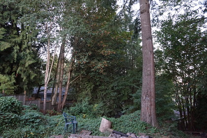 backyard at 32230 Buffalo Dr, Mission BC, Mission