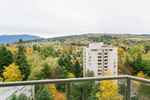 view-bby-mountain at #1606 - 7321 Halifax Street, Simon Fraser Univer., Burnaby North