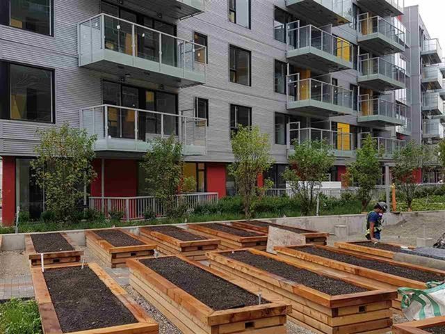 384-e-1st-avenue-strathcona-vancouver-east-14 at 604 - 384 E 1st Avenue, Strathcona, Vancouver East 384-e-1st-avenue-strathcona-vancouver-east-14 at 604 - 384 E 1st Avenue, Strathcona, Vancouver East