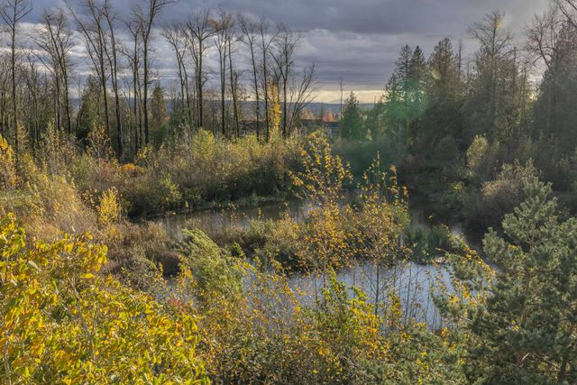 29 at 309 - 19340 65 Avenue, Clayton, Cloverdale