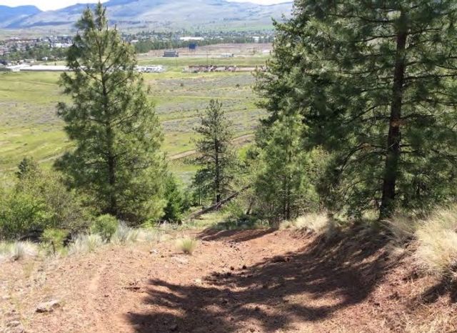 3 at 1530 Willow Crescent, Merritt, FVREB Out of Town