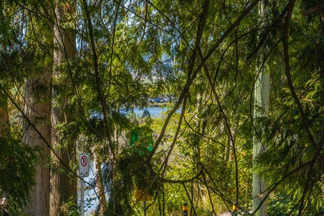 13937-35a-avenue-elgin-chantrell-south-surrey-white-rock-37 at 13937 35a Avenue, Elgin Chantrell, South Surrey White Rock