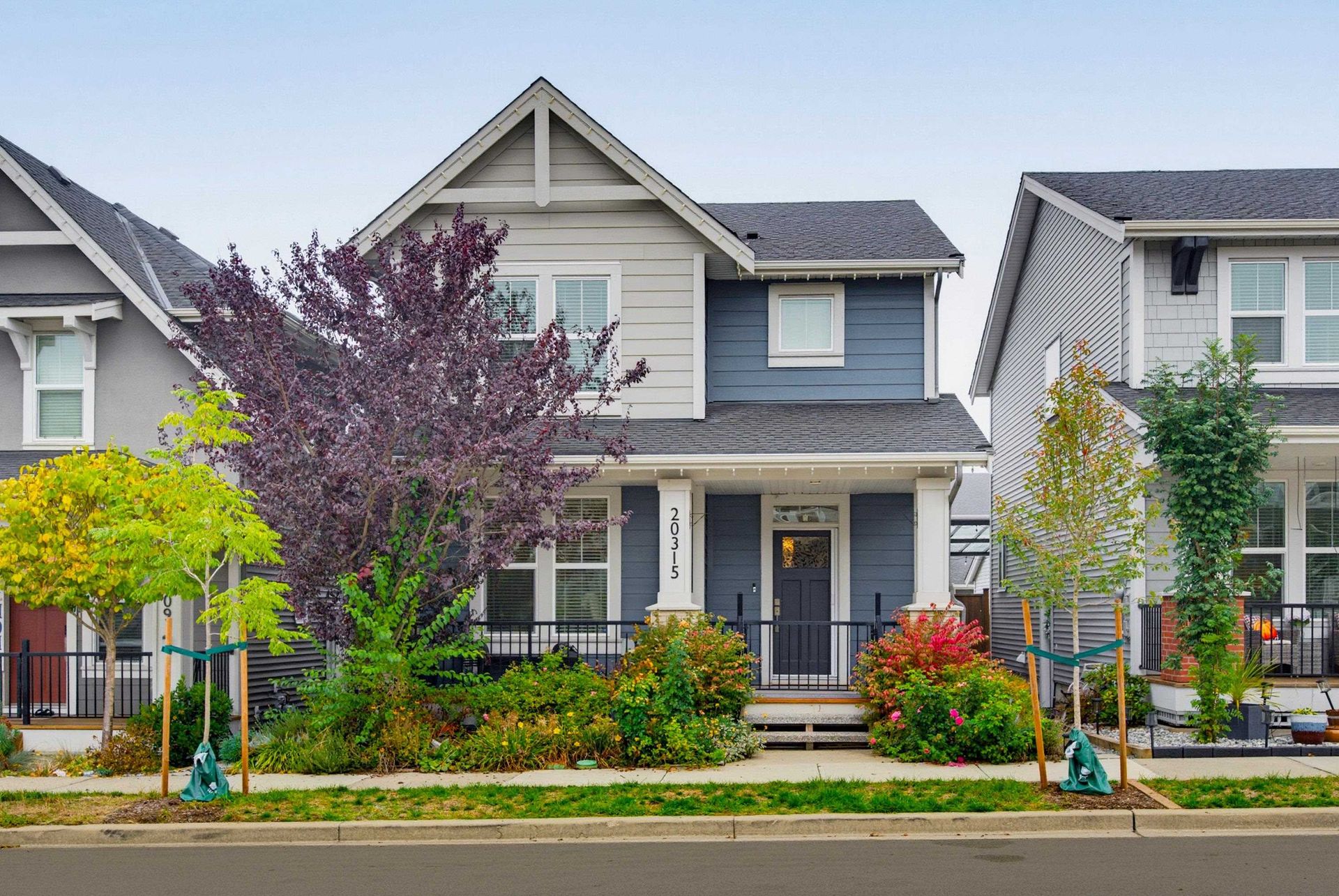 20315 82a Avenue, Willoughby Heights, Langley photo number 1