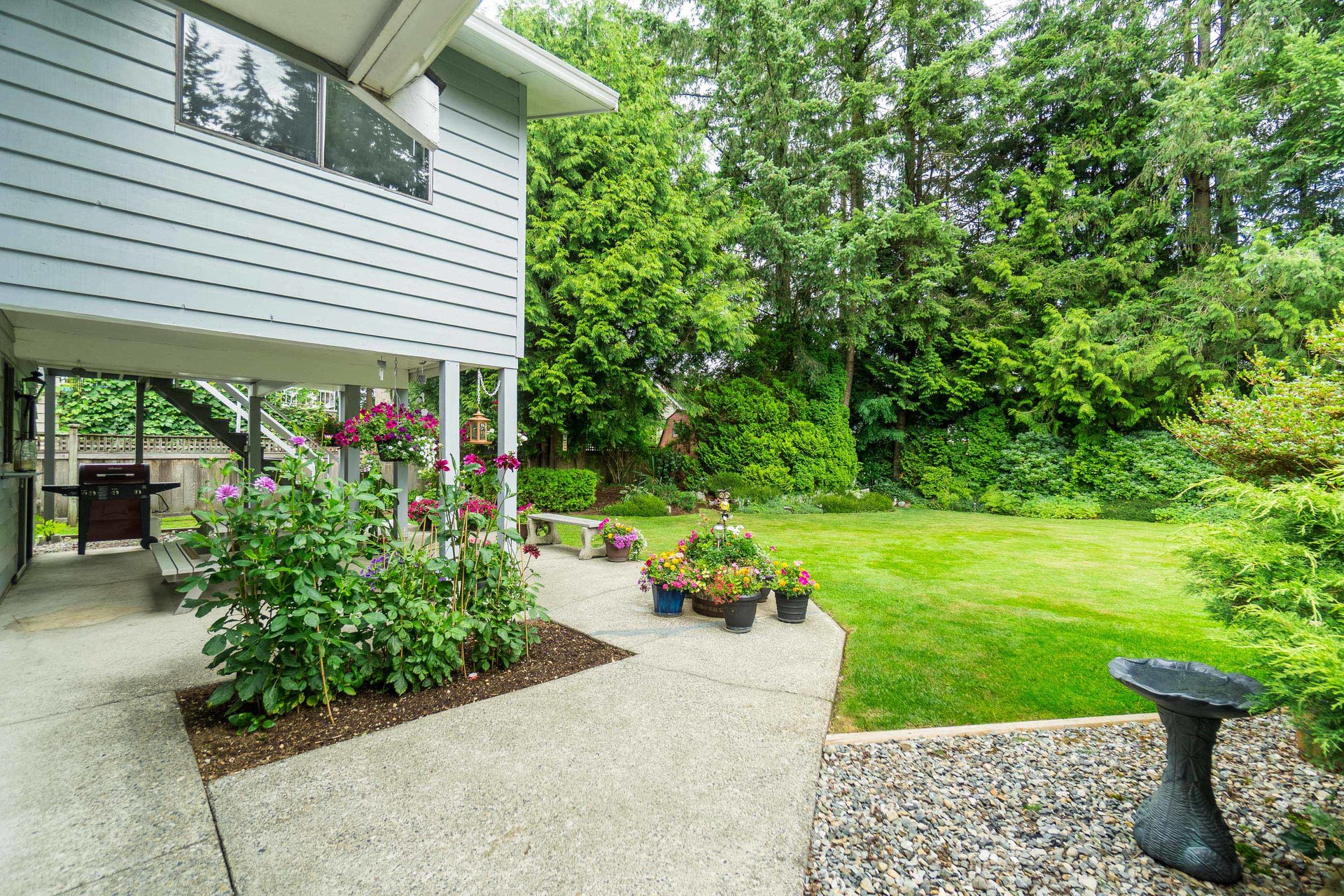 Backyard at 4062 207a Street, Brookswood Langley, Langley