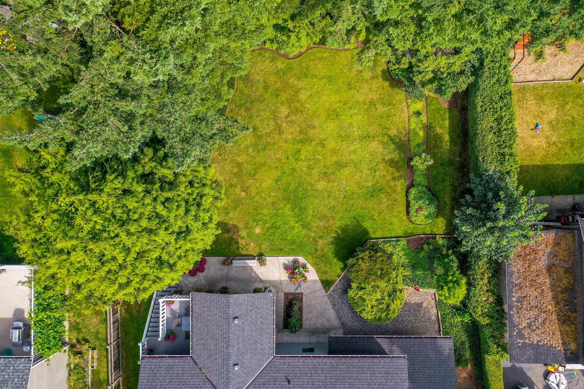 Aerial View - Backyard at 4062 207a Street, Brookswood Langley, Langley