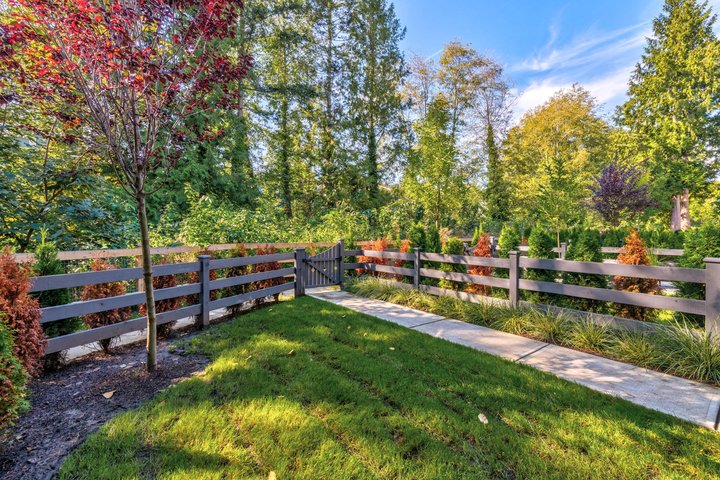 Backyard at 15 - 16357 15 Avenue, King George Corridor, South Surrey White Rock