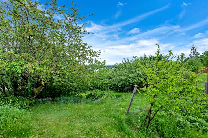 dsc_2777 at Ladysmith - 427a Walker Avenue