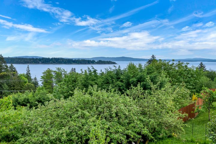 dsc_2809 at Ladysmith - 427a Walker Avenue