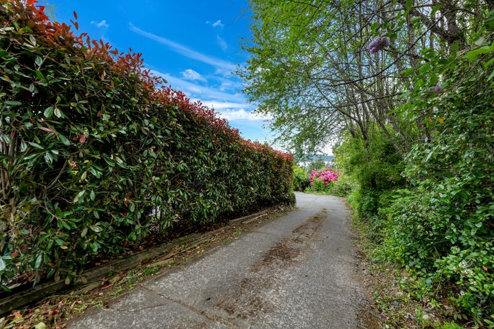 dsc_2815 at Ladysmith - 427a Walker Avenue