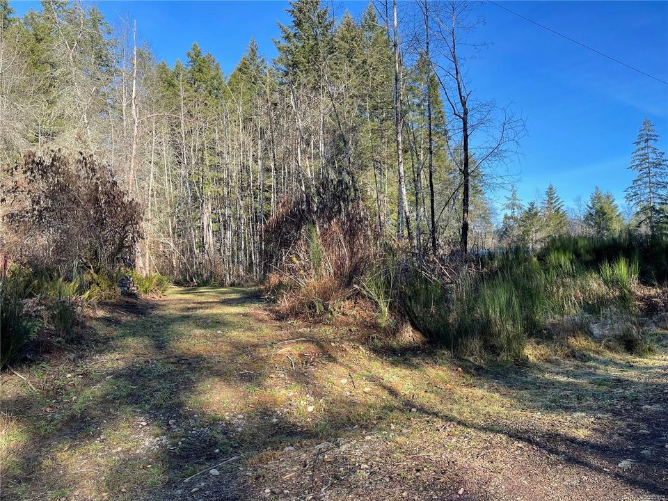 5805-saunders-alberni-valley-port-alberni-03