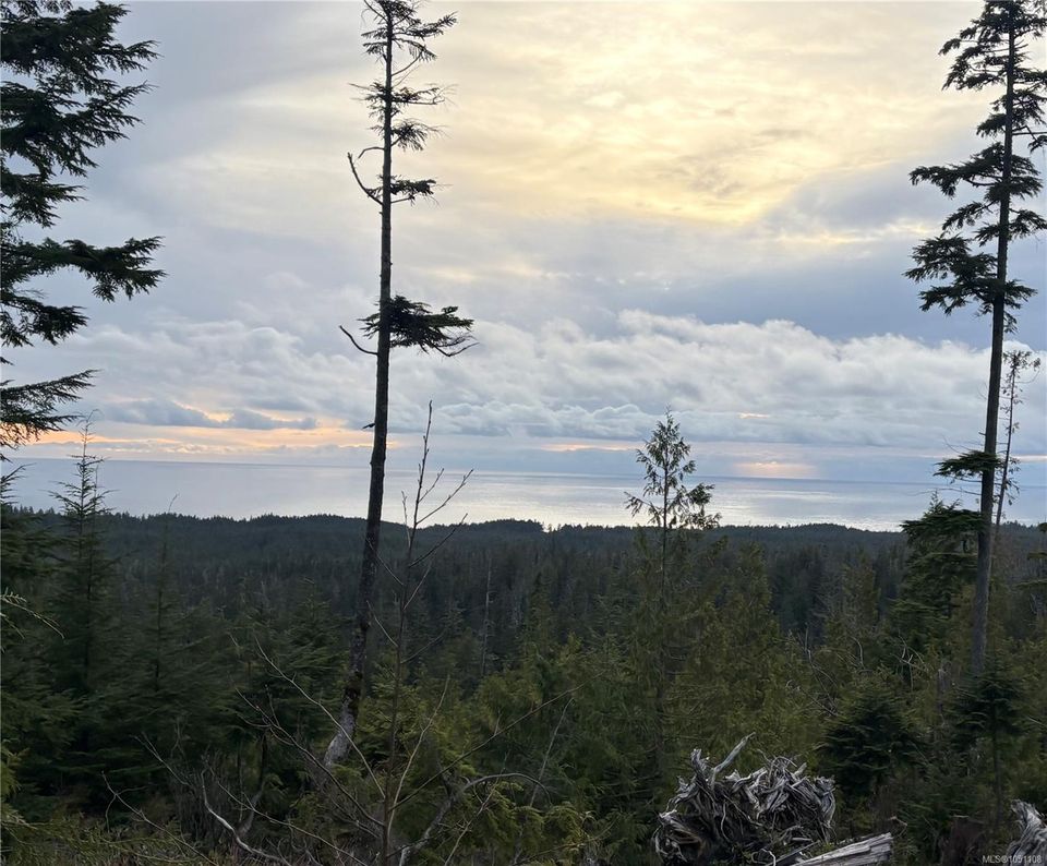 0-michigan-main-bamfield-port-alberni-01