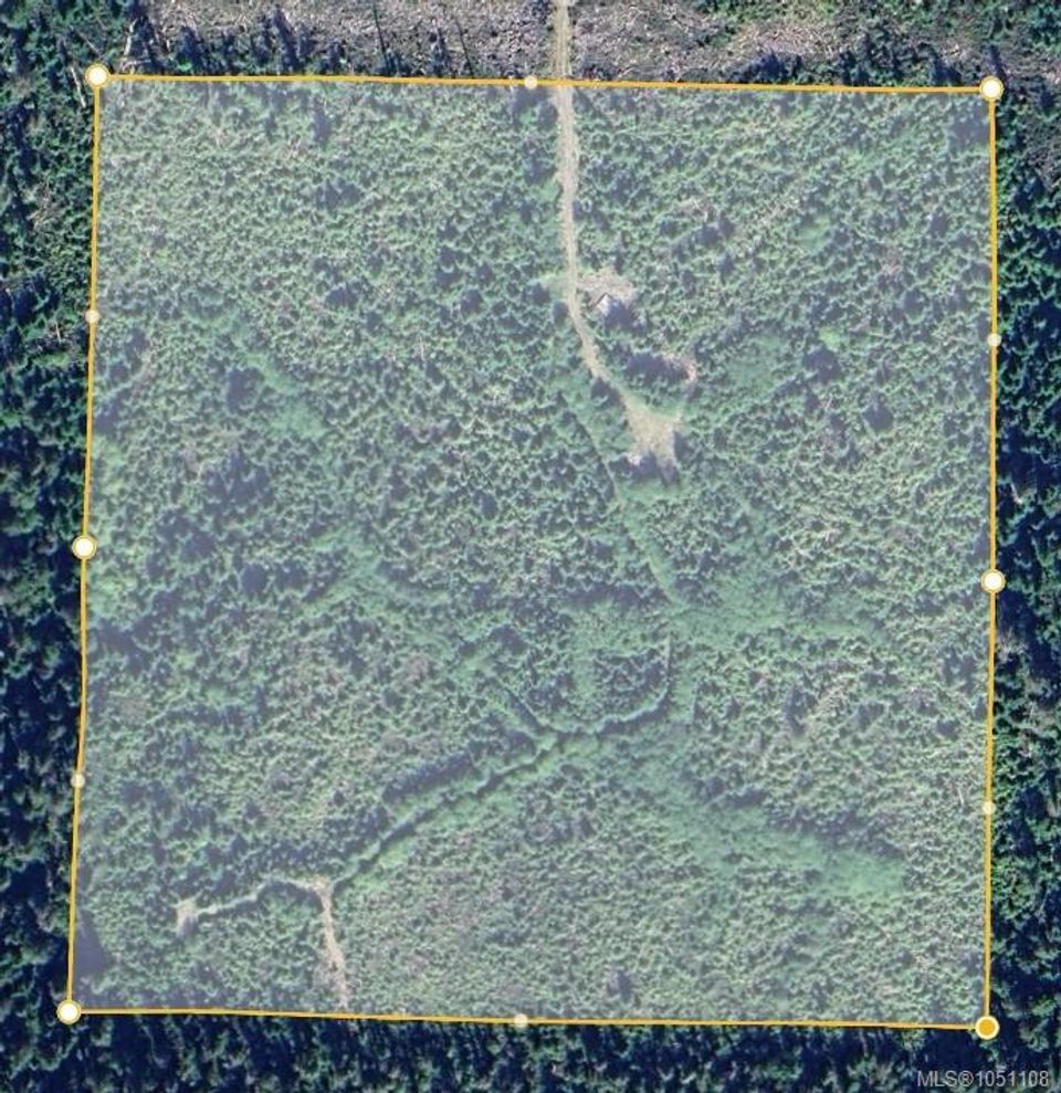 0-michigan-main-bamfield-port-alberni-03