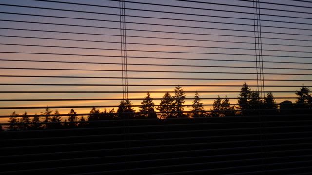 15-e-royal-avenue-fraserview-nw-new-westminster-34 at 2101 - 15 E Royal Avenue, Fraserview NW, New Westminster