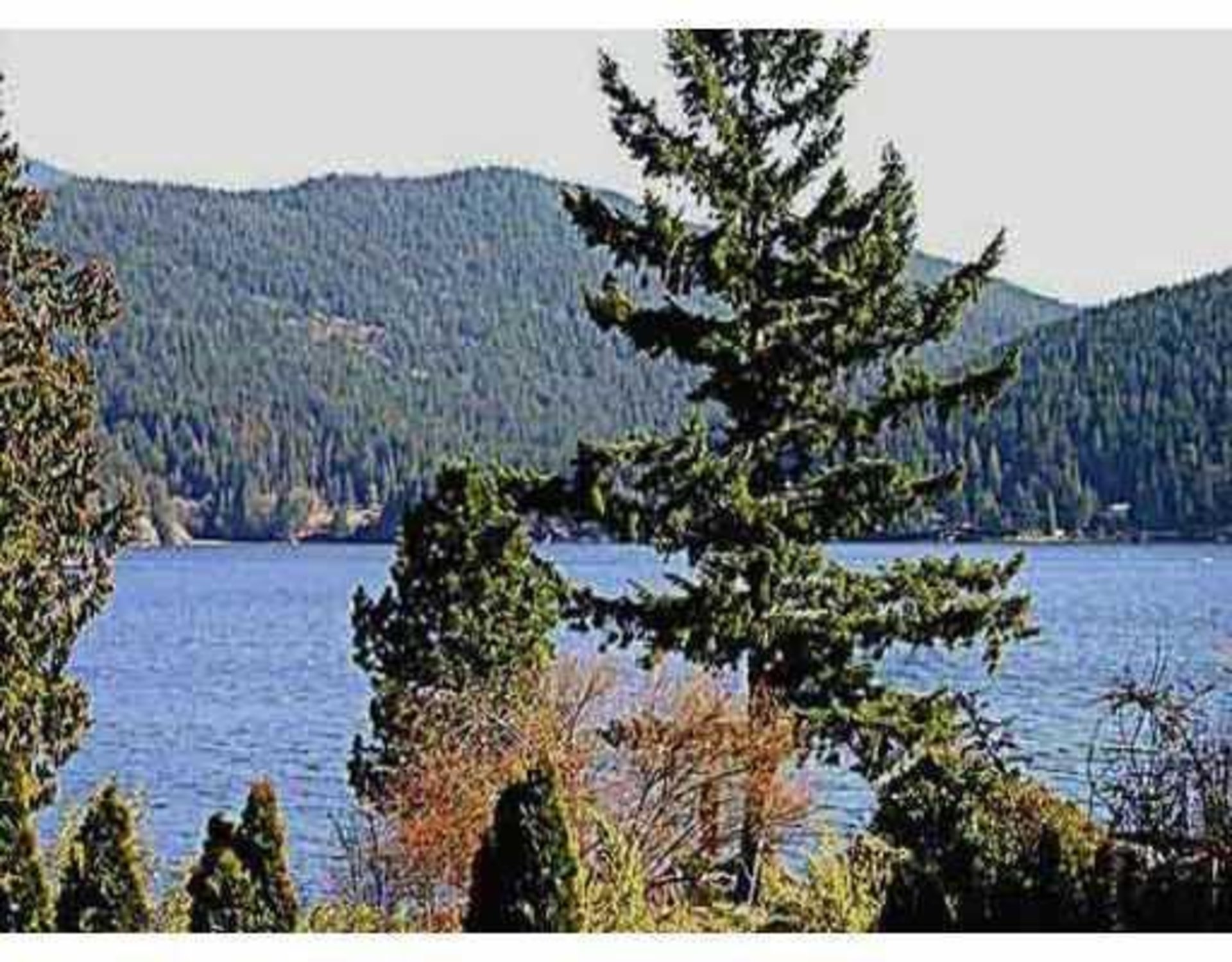 5581 Indian River Drive, North Vancouver photo number 1