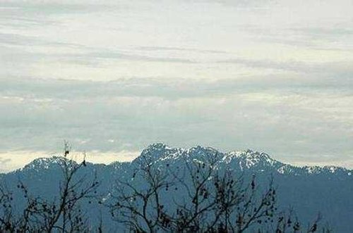 a84394ea3fa3f909edb6f10860d366cf at 104 - 2556 Highbury Street, Point Grey, Vancouver West