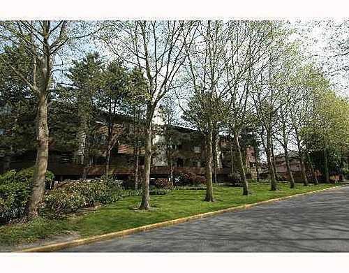 2d6b39e539ac2a9edf1649617d303eb5 at 109 - 7291 Moffatt Road, Brighouse, Richmond