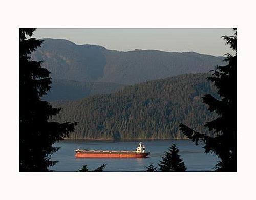 08bea23c5d8a7191124ba56c9b3460c0 at 205 Sea Avenue, Capitol Hill BN, Burnaby North