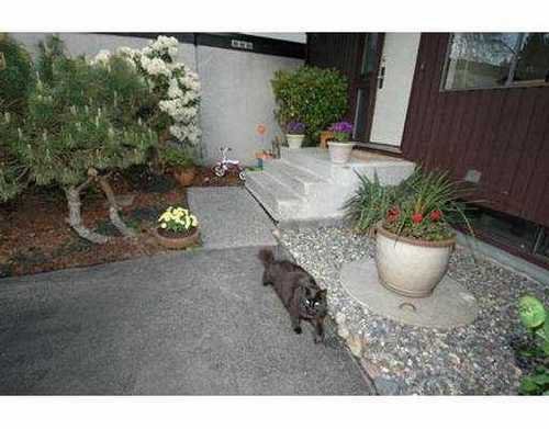 b9f5290f0c5ca17cdd0523b7a6bc751b at 3836 Garden Grove Drive, Greentree Village, Burnaby South