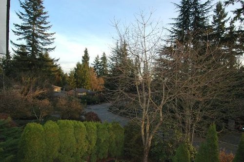 bb310c74b2511e12fdb47d9d2c07aee2 at 2568 Shelley Road, Blueridge NV, North Vancouver