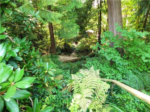 a0c3966dc5d803df1d7954706c672e8b at 3580 Sunset Boulevard, Capilano NV, North Vancouver a0c3966dc5d803df1d7954706c672e8b at 3580 Sunset Boulevard, Capilano NV, North Vancouver