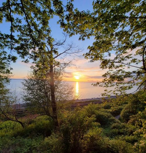 12890-17-avenue-crescent-bch-ocean-pk-south-surrey-white-rock-36 at 112 - 12890 17 Avenue, Crescent Bch Ocean Pk., South Surrey White Rock