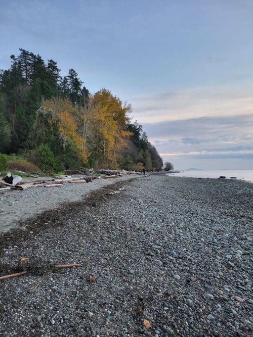 12890-17-avenue-crescent-bch-ocean-pk-south-surrey-white-rock-40 at 112 - 12890 17 Avenue, Crescent Bch Ocean Pk., South Surrey White Rock