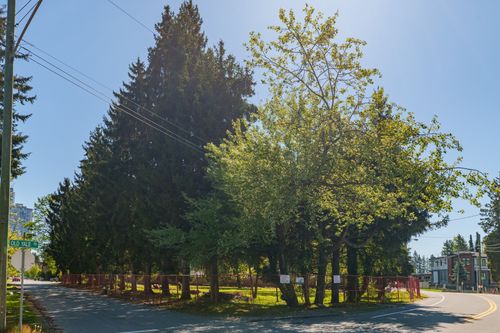13003-old-yale-rd-1 at 13003 Old Yale Road, Whalley, North Surrey 13003-old-yale-rd-1 at 13003 Old Yale Road, Whalley, North Surrey
