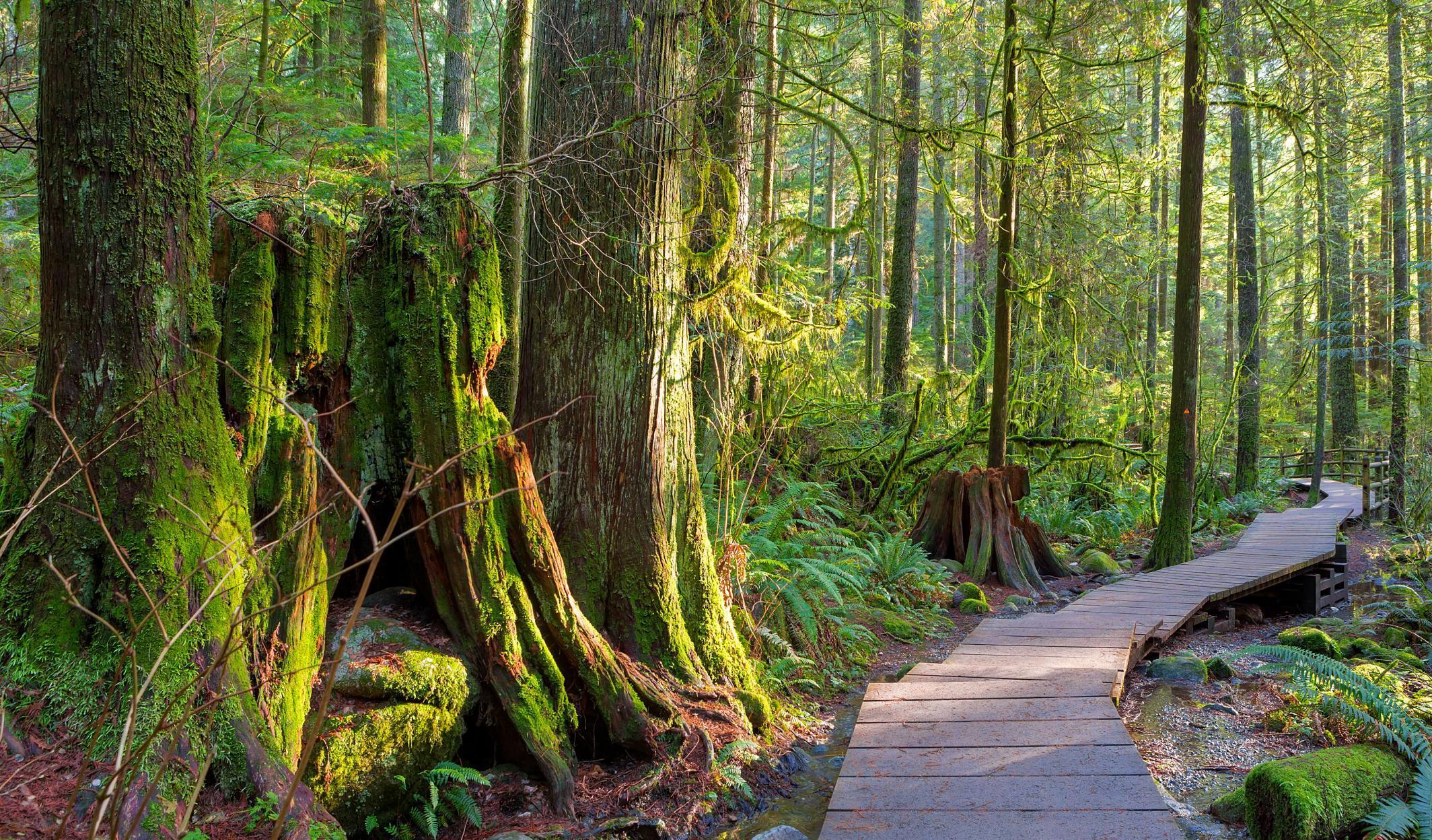 Serving Clients for Over 10 Years  Serving Clients for Over 10 Years