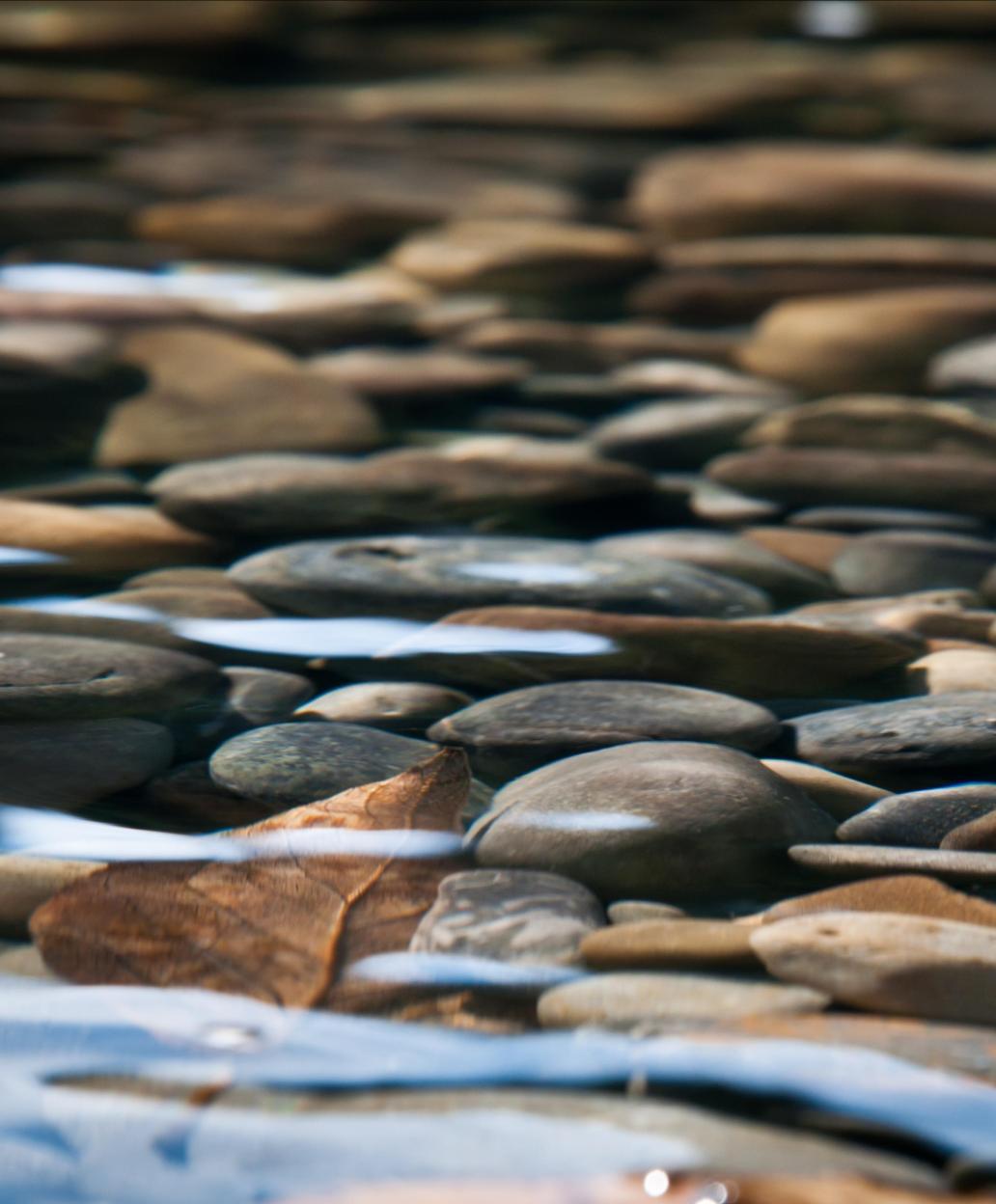 Serving Clients for Over 10 Years 2 Serving Clients for Over 10 Years 2