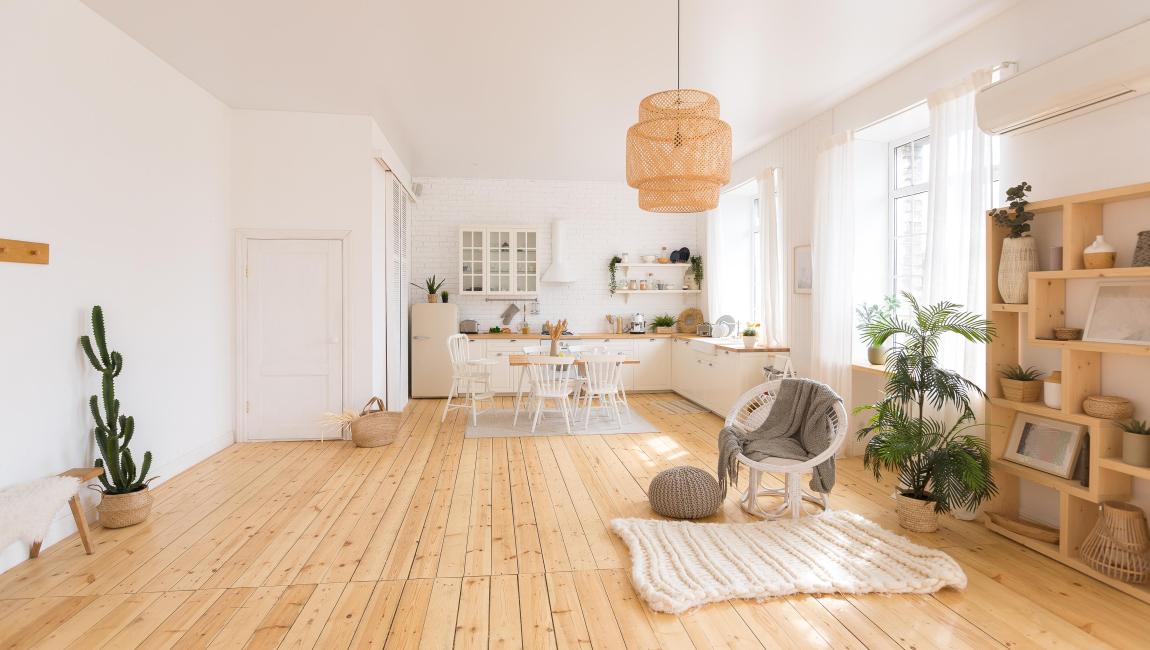 Professional Photography 