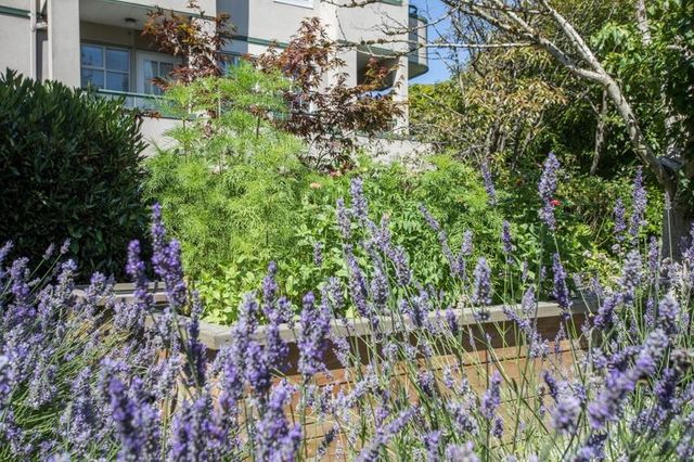 2091-vine-street-kitsilano-vancouver-west-29 at 301 - 2091 Vine Street, Kitsilano, Vancouver West 2091-vine-street-kitsilano-vancouver-west-29 at 301 - 2091 Vine Street, Kitsilano, Vancouver West