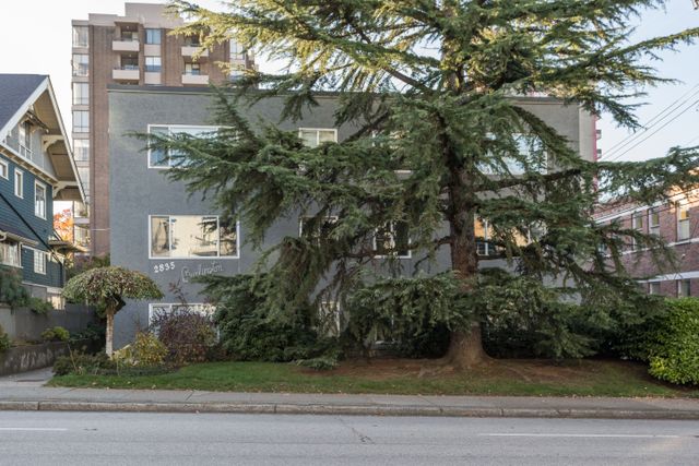 204-2835-hemlock-st-vancouver-high-29 at 204 - 2835 Hemlock Street, Fairview VW, Vancouver West