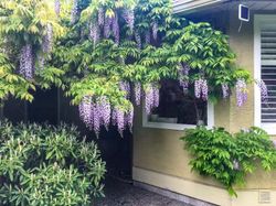 3222-137a-street-elgin-chantrell-south-surrey-white-rock-29 at 3222 137a Street, Elgin Chantrell, South Surrey White Rock