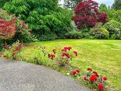 3222-137a-street-elgin-chantrell-south-surrey-white-rock-32 at 3222 137a Street, Elgin Chantrell, South Surrey White Rock