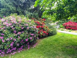 3222-137a-street-elgin-chantrell-south-surrey-white-rock-33 at 3222 137a Street, Elgin Chantrell, South Surrey White Rock