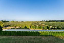 3882-159a-street-morgan-creek-south-surrey-white-rock-40 at 3882 159a Street, Morgan Creek, South Surrey White Rock