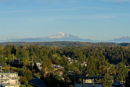 15567-pacific-avenue-white-rock-south-surrey-white-rock-39 at 15567 Pacific Avenue, White Rock, South Surrey White Rock