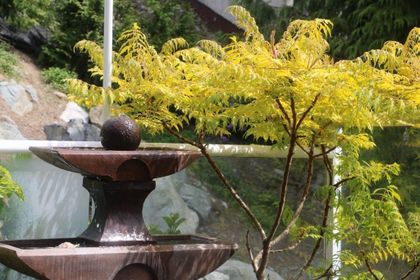 15025-victoria-avenue-white-rock-south-surrey-white-rock-19 at 102 - 15025 Victoria Avenue, White Rock, South Surrey White Rock