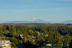 15567-pacific-avenue-white-rock-south-surrey-white-rock-40 at 15567 Pacific Avenue, White Rock, South Surrey White Rock