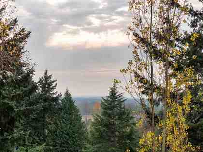 8013-modesto-drive-nordel-n-delta-16 at 8013 Modesto Drive, Nordel, N. Delta