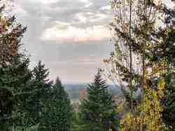 8013-modesto-drive-nordel-n-delta-16 at 8013 Modesto Drive, Nordel, N. Delta