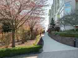 15850-26-avenue-grandview-surrey-south-surrey-white-rock-20 at 408 - 15850 26 Avenue, Grandview Surrey, South Surrey White Rock