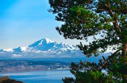 262043053-11 at 13124  Drive, Crescent Bch Ocean Pk., South Surrey White Rock